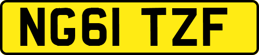 NG61TZF
