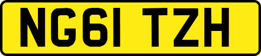 NG61TZH