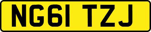 NG61TZJ