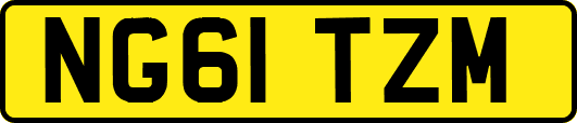 NG61TZM
