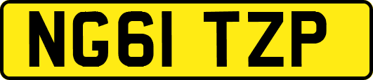 NG61TZP