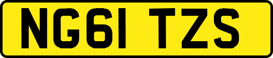 NG61TZS