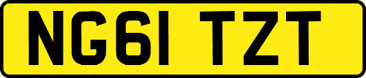 NG61TZT
