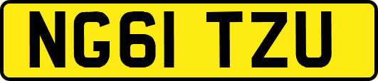 NG61TZU
