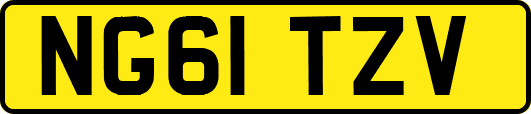 NG61TZV