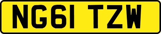 NG61TZW