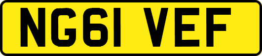 NG61VEF