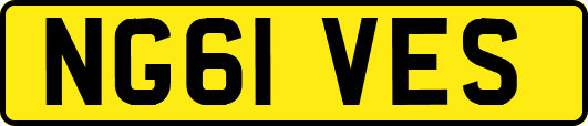 NG61VES