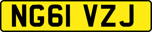 NG61VZJ
