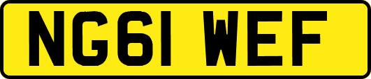 NG61WEF