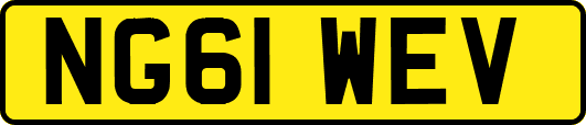 NG61WEV