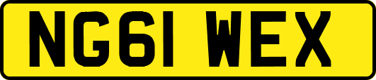 NG61WEX