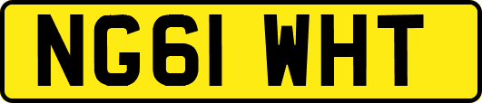 NG61WHT