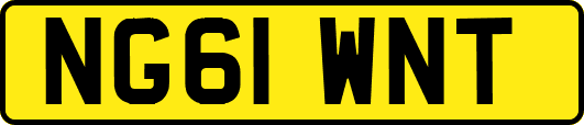 NG61WNT
