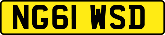 NG61WSD