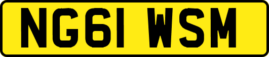 NG61WSM
