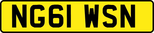 NG61WSN
