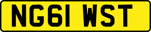 NG61WST
