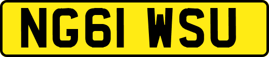 NG61WSU