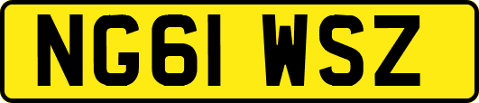 NG61WSZ