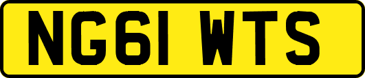 NG61WTS