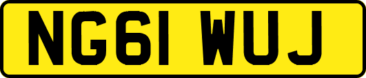 NG61WUJ