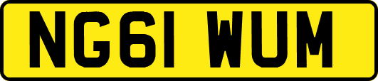 NG61WUM