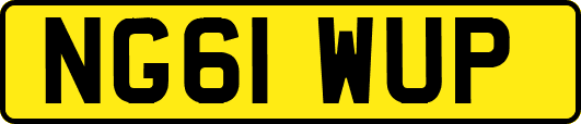 NG61WUP