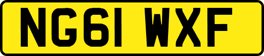 NG61WXF
