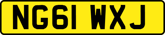 NG61WXJ