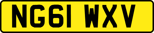 NG61WXV