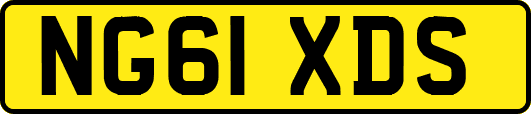 NG61XDS