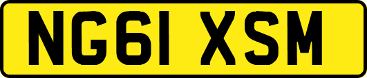 NG61XSM