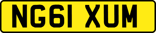 NG61XUM