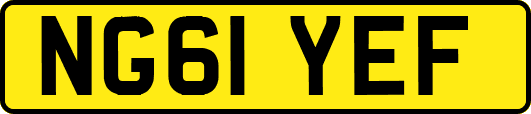NG61YEF