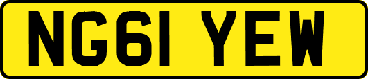 NG61YEW