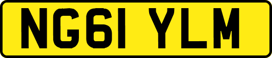 NG61YLM