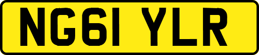 NG61YLR