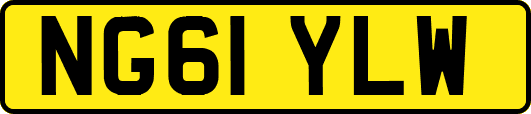 NG61YLW