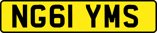 NG61YMS