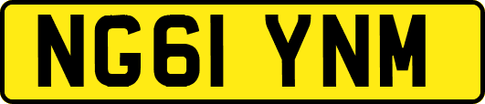 NG61YNM