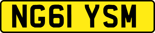 NG61YSM