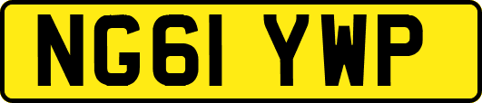 NG61YWP