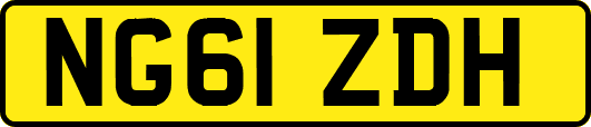 NG61ZDH