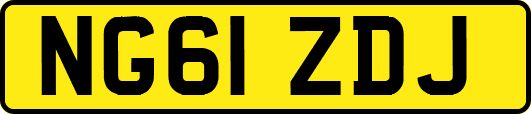 NG61ZDJ