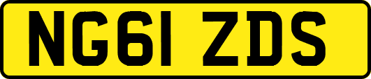 NG61ZDS