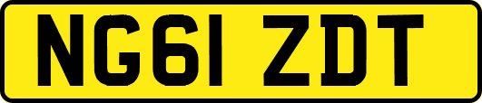 NG61ZDT