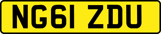 NG61ZDU