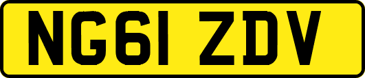 NG61ZDV