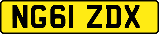 NG61ZDX